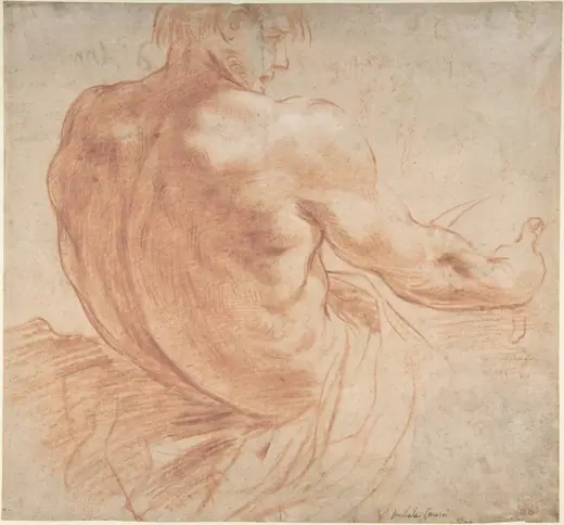 Seated Youth Facing Right, Seen from the Back by Annibale Carracci