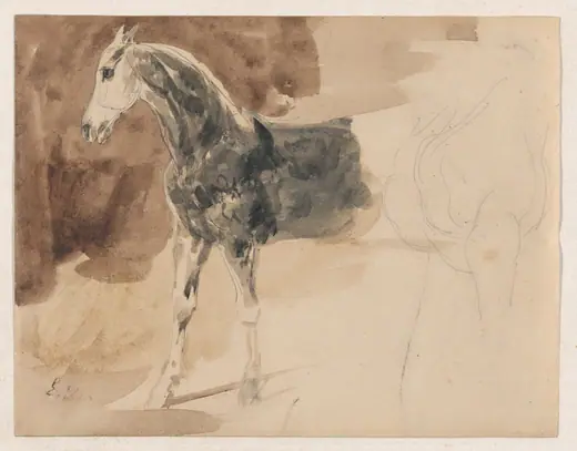 Study of a Horse by Eugène Delacroix