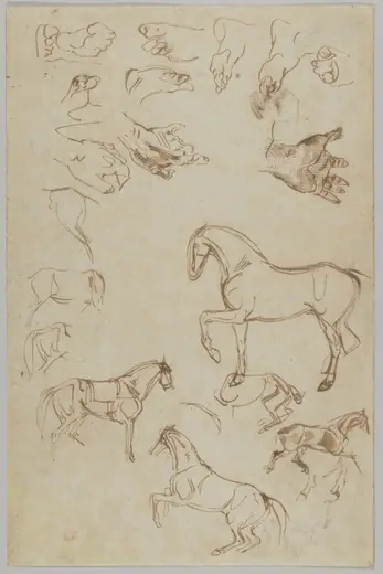 Studies of Horses, Hands, and Feet by Eugène Delacroix