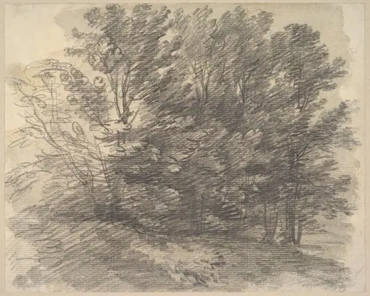 A clump of trees by Thomas Gainsborough