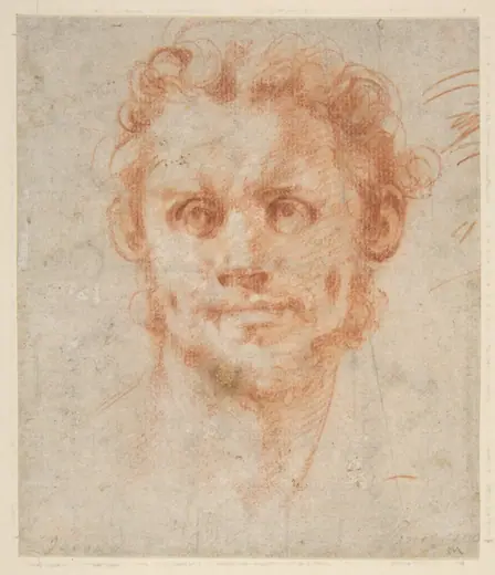 Study of a Man's Head by Jacopo da Pontormo