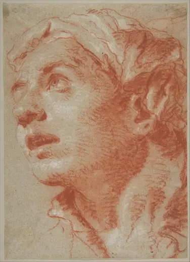 Head of a Young Man in Three-Quarter View by Giovanni Battista Tiepolo